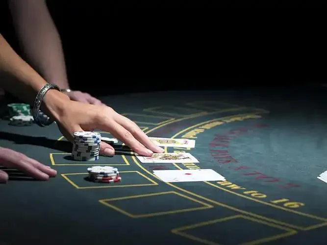 h555login Features That Make Mobile Betting Practical
